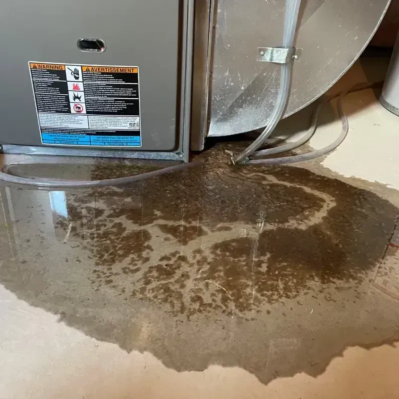 Appliance Leak Cleanup in Samson, AL